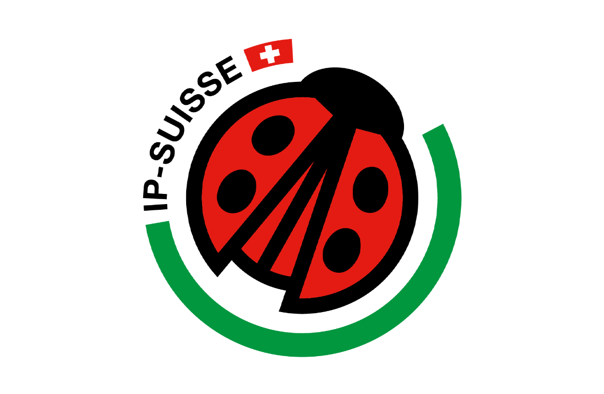 IP Suisse Logo